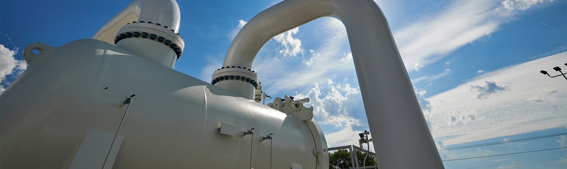 Executive Leadership