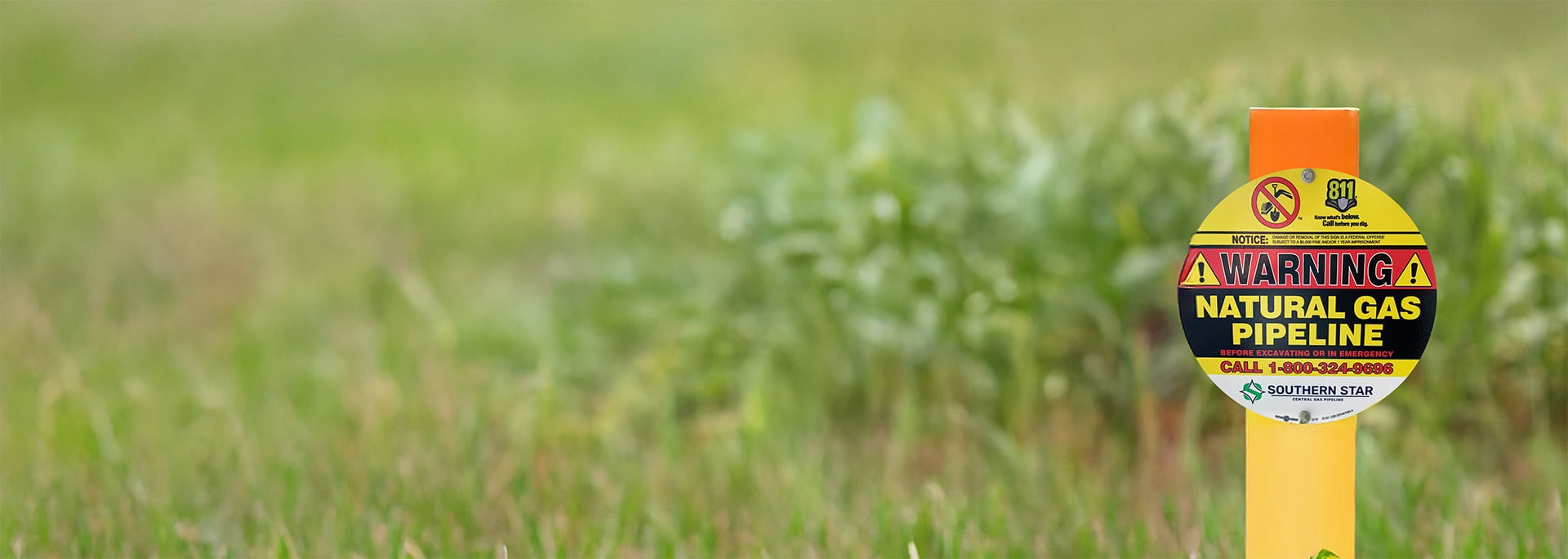 Pipeline marker in a field